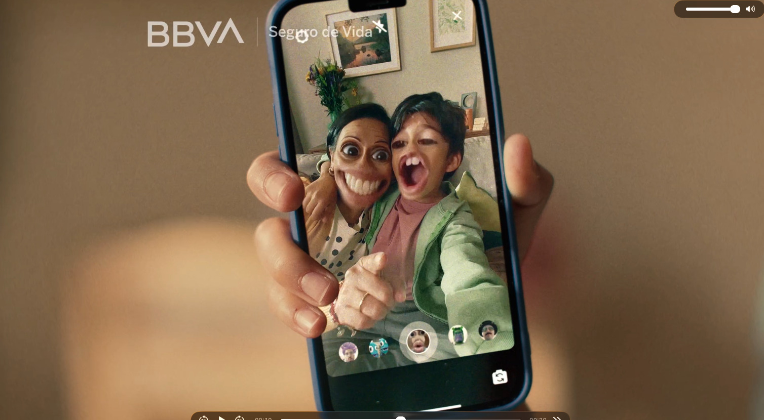 BBVA Seguros de Vida 