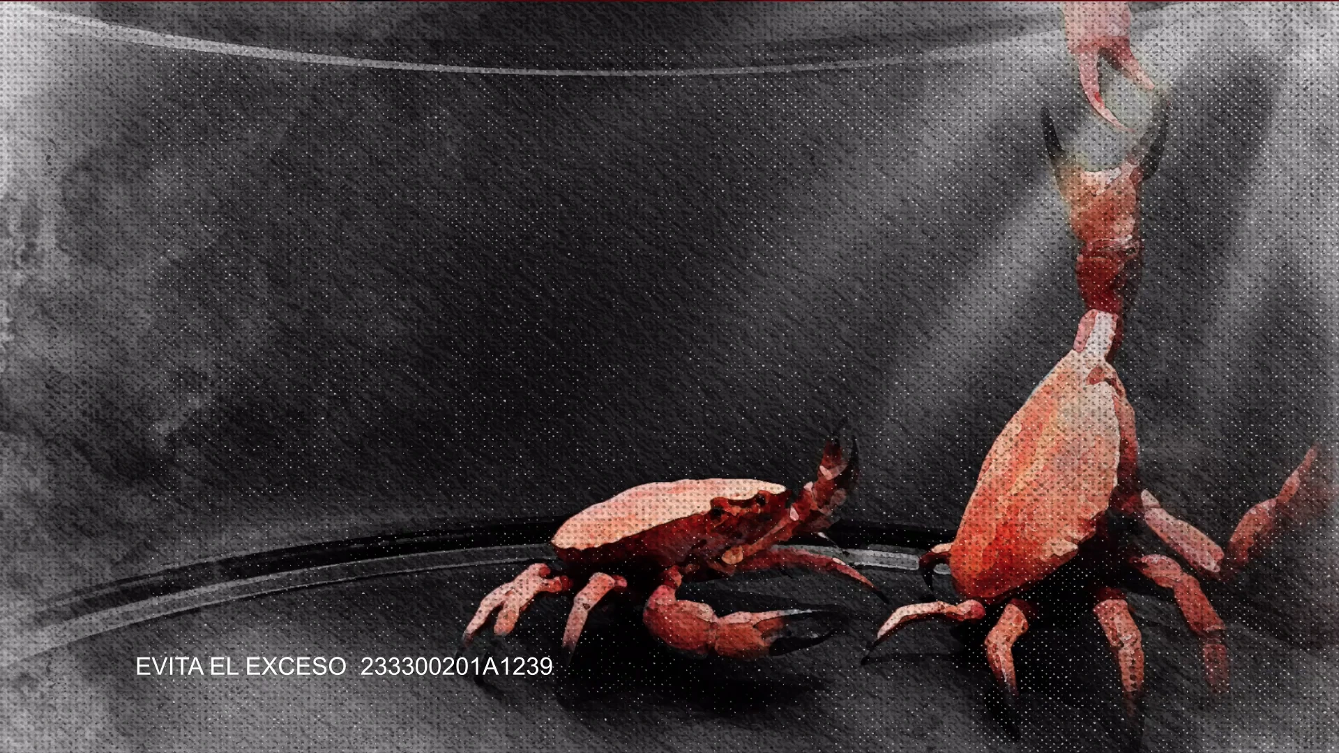 Tecate rompe el mito de los cangrejos